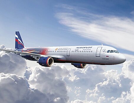 Борт «Аэрофлота» из Москвы столкнулся с птицей в аэропорту Новосибирска