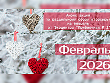В Городском округе Пушкинский в феврале пройдет экоакция по раздельному сбору вторсырья