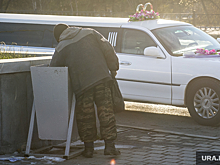 В Ельцин Центре откроют выставку о бездомных людях и животных