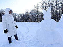 Арктический циклон принесет в Москву аномальный мороз