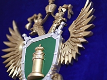 В Волгограде инструктор картинга получил 1,5 года тюрьмы за травму маленькой девочки