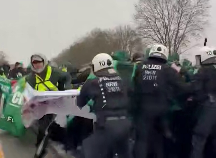 В Германии начались массовые протесты против Альтернативы для Германии