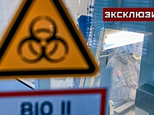 Яровая: появление болезни X незадолго до коронавируса настораживает