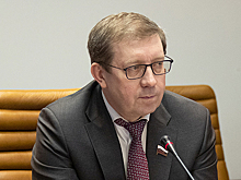 Майоров: рабочая группа по предотвращению чёрных рубок займётся проблемой нехватки лесников