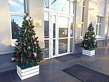 В Курске установили новогодние ёлки, украшенные 3D-книгами