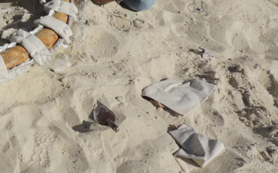 В песках Аравии нашли гигантского слона