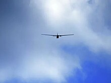 Над Белгородской областью уничтожен беспилотник