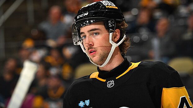 Брунике из «Питтсбурга» – 1-й полевой игрок в истории НХЛ, родившийся в ЮАР. Первым вратарем был Колциг