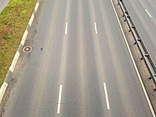 На дороге в Петербурге образовалась огромная яма с водой: едва не утонул трамвай