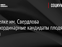 В поселке им. Свердлова экстраординарные кандидаты плодят фейки