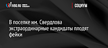 В поселке им. Свердлова экстраординарные кандидаты плодят фейки