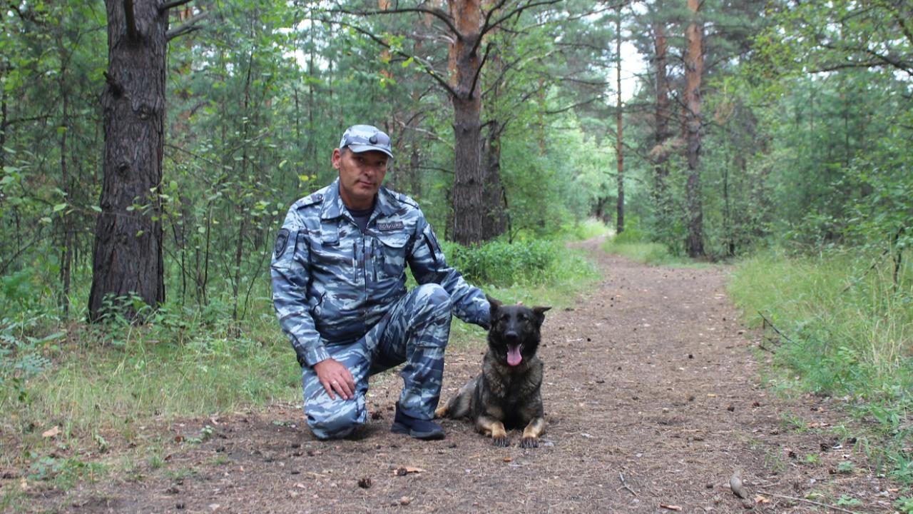 В Красноярском крае кинолог со служебной собакой разыскали потерявшуюся в бору 84-летнюю женщину