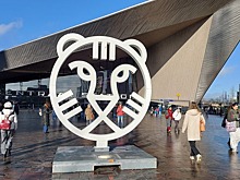 На Роттердамском кинофестивале посадили дерево жалоб и предложений