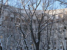 Восторг архитектора Гитлера: Дом правительства Украины, предназначенный для НКВД