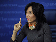 Лидия Михеева: на соцсети должны распространяться те же ограничения, что и на СМИ