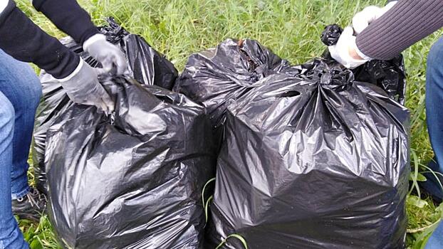 Около 60 субботников провели с начала июня борцы с мусором в Вологде