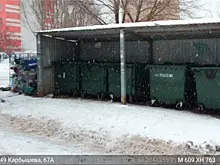Самарцы пожаловались на скопление крыс у мусорных контейнеров на улице Карбышева