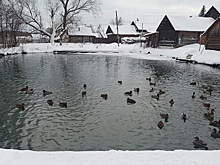 Итоги областного фотоконкурса «Мир глазами ветерана» подвели в Нижнем Новгороде