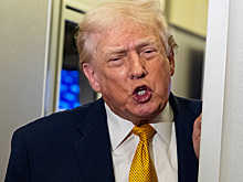 Политолог Минченко сравнил Трампа с Арнольдом Шварценеггером: «Мне нужна твоя одежда и мотоцикл»