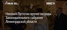 Николай Пустотин вручил награды Законодательного собрания Ленинградской области