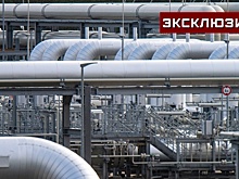 В ГД предположили, кому могут быть выгодны санкции против «Северных потоков»