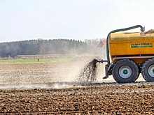 В России законопроект об использовании навоза примут до конца года