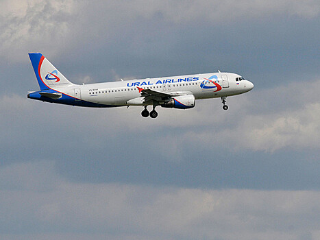 Самолет из Санкт-Петербурга экстренно сел в екатеринбургском аэропорту из-за попадания птиц в двигатель