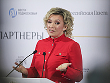 В МИД РФ оценили вероятность развития «эффекта домино» в Европе