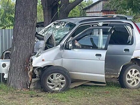 СУ СК: двое детей в тяжелом состоянии после ДТП в Приморье с 13-летней девочкой за рулем