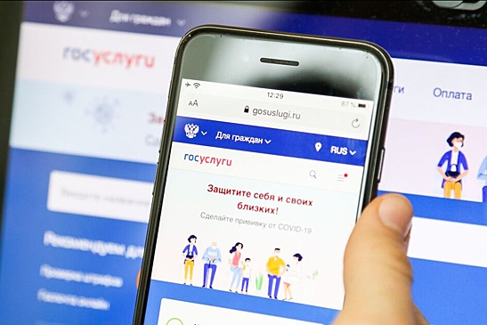 Минцифры назвало фейком информацию о возможности кражи квартир через "Госуслуги"