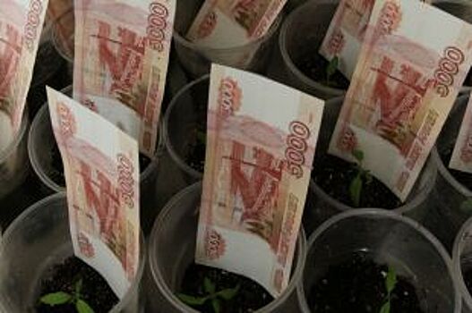 Предприятие в Уфе два года не платило зарплату сотрудникам