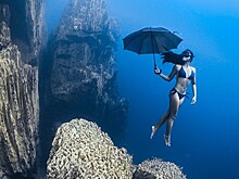 Как в воду глядели: названы победители конкурса «Подводный фотограф года»