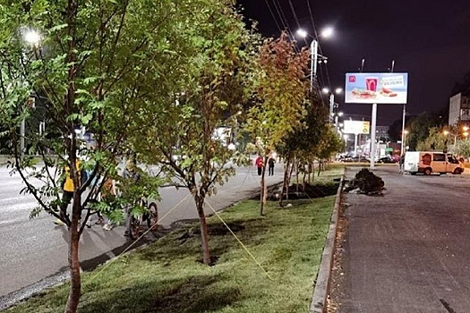 В Челябинске в одном из скверов высадили 42 дерева