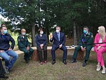 В Иркутской области будет запущен пилотный проект по восстановлению кедровых лесов