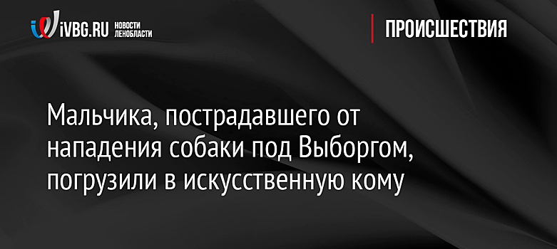 Мальчика, пострадавшего от нападения собаки под Выборгом, погрузили в искусственную кому