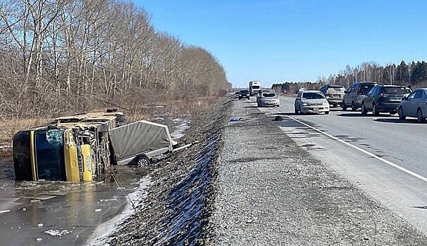 Глава СК Бастрыкин поручил выяснить обстоятельства ДТП с пассажирским автобусом под Новосибирском
