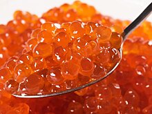 Полиция Камчатки изъяла 11 тонн рыбы и 400 кг икры в подпольном цехе