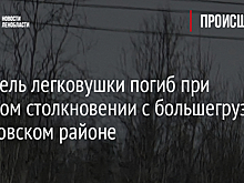 Водитель легковушки погиб при лобовом столкновении с большегрузом в Кировском районе