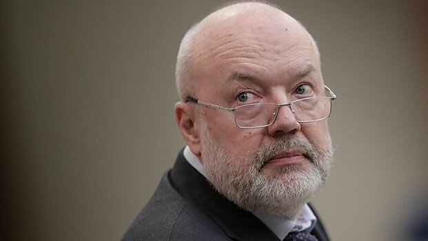 Павел Крашенинников: региональные заксобрания смогут работать дистанционно
