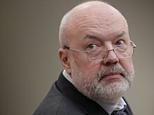 Павел Крашенинников: региональные заксобрания смогут работать дистанционно