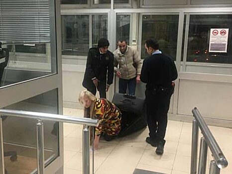 Гражданка Грузии пыталась пересечь турецкую границу в чемодане