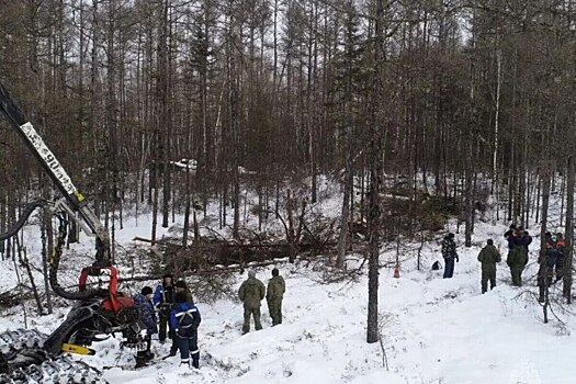 Следователи работают на месте авиакатастрофы под Амаранкой
