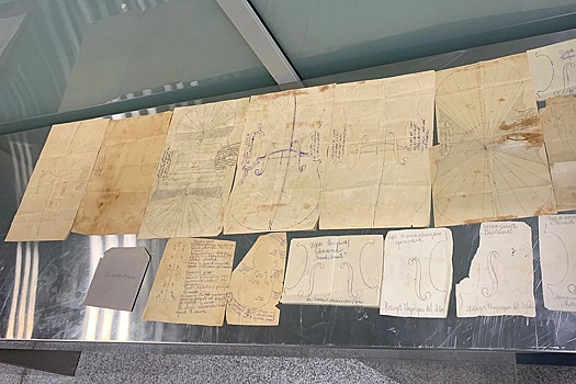 В Домодедово у мужчины изъяли чертежи скрипок Страдивари