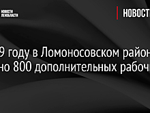 В 2019 году в Ломоносовском районе создано 800 дополнительных рабочих мест