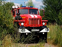 МЧС: при тушении пожаров в Подмосковье за сутки погибли два человека