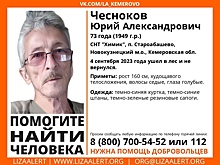Пожилой мужчина пропал в кузбасском лесу