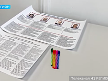 Голосование на выборах губернатора Камчатки началось в рамках ЕДГ в России