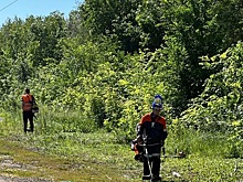 В Оренбурге продолжают бороться с сорняками