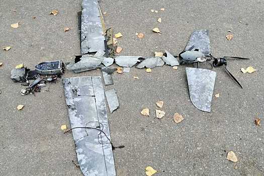 343693c370bf4eff34b5e703e70d45f7?img-format=auto&img-1-resize=height:350,fit:max&img-2-filter=sharpen