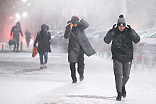 Интенсивные снегопады пройдут в Московском регионе на следующей неделе
